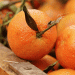 Mandarins and Clementines: Market Trends for Week 48