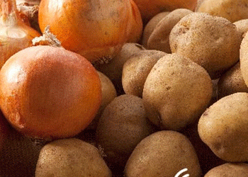 Addressing Challenges in Potato and Onion Production: Sustainable Solutions for Turkish Farmers