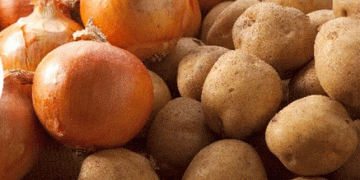 Addressing Challenges in Potato and Onion Production: Sustainable Solutions for Turkish Farmers