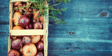 Austria’s 2024 Vegetable Harvest: Stable Carrots and Challenged Onions