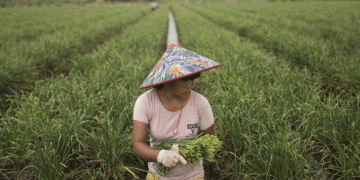 The Sanctions Menu: Chinese Garlic, Tomato Paste, and Chilli Peppers Face Growing Scrutiny