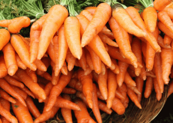 Top Carrot Varieties to Grow in 2025: What Will Yield the Best Results?