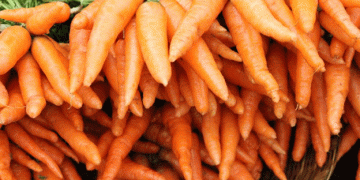 Top Carrot Varieties to Grow in 2025: What Will Yield the Best Results?