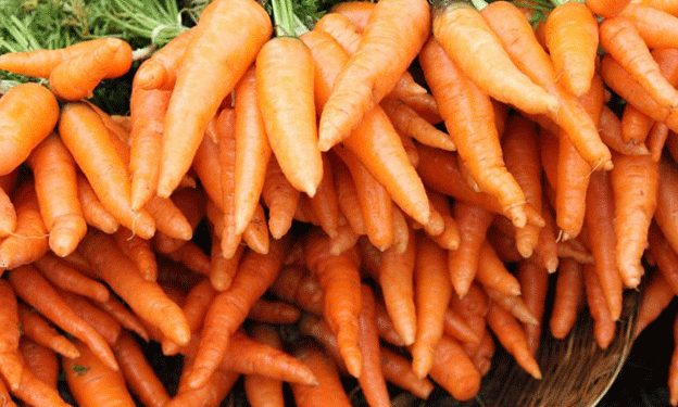 Top Carrot Varieties to Grow in 2025: What Will Yield the Best Results?