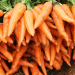 Top Carrot Varieties to Grow in 2025: What Will Yield the Best Results?