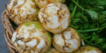 Polish Celery Prices Remain at Record Levels Despite Seasonal Trends