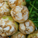 Polish Celery Prices Remain at Record Levels Despite Seasonal Trends