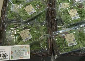 Sustainable and Affordable: The Growing Impact of Organic Farming in Major Supermarkets