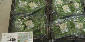 Sustainable and Affordable: The Growing Impact of Organic Farming in Major Supermarkets