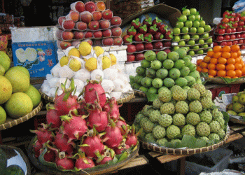 Vietnam’s Fruit and Vegetable Exports Set to Break Records: A Growing Global Influence