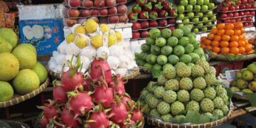 Vietnam’s Fruit and Vegetable Exports Set to Break Records: A Growing Global Influence