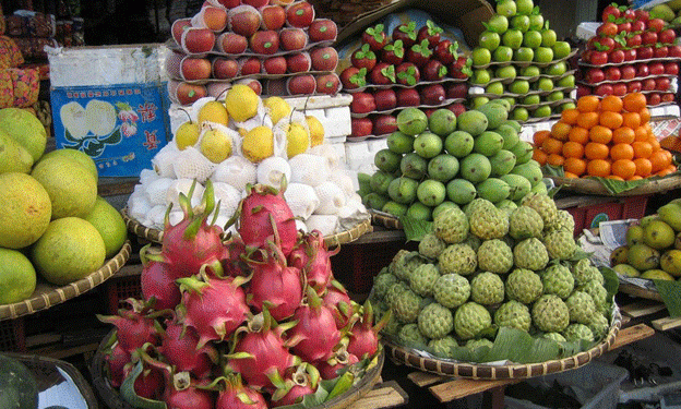Vietnam’s Fruit and Vegetable Exports Set to Break Records: A Growing Global Influence