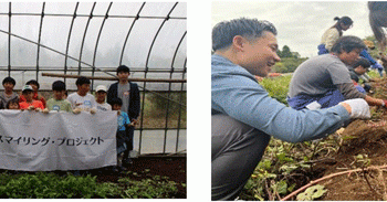 Hands-On Learning in Organic Farming and Sustainable Forestry: Building the Future of Food and Agriculture