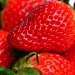 Peru’s Strawberry Exports in 2024: A Tale of October Growth Amid Annual Decline