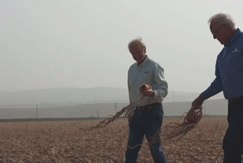 LaserWeeder: A Revolutionary Approach to Weed Control That Could End the Need for Herbicides