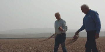 LaserWeeder: A Revolutionary Approach to Weed Control That Could End the Need for Herbicides