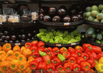 Why Are Dutch Consumers Eating Less Fruit and Vegetables in 2024?