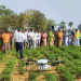 Revolutionizing Agriculture: How Drones and Nano Fertilizers Are Changing the Game