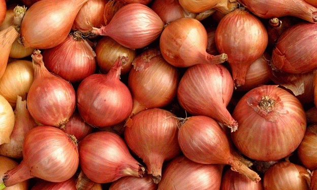 Discover the Sweet Secret of Onion Island: How Awaji Island’s Unique Climate Creates Sweet Onions