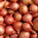 Discover the Sweet Secret of Onion Island: How Awaji Island’s Unique Climate Creates Sweet Onions