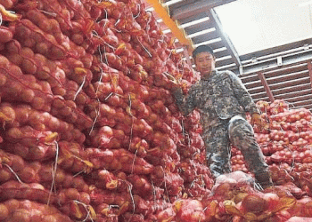 Crackdown on Smuggled Vegetables: The Fight Against Illegal Imports in the Philippines