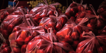 Kaufland’s Plastic Bag Charge: A Step Toward Sustainability or a Greenwashing Tactic?