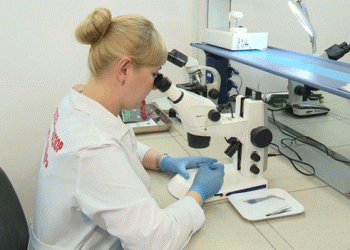 Hidden Threats in Seed Packages: Why We Must Be Cautious of Weed Contamination in Irkutsk’s Garden Seeds