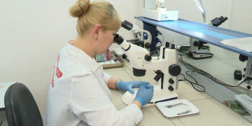 Hidden Threats in Seed Packages: Why We Must Be Cautious of Weed Contamination in Irkutsk’s Garden Seeds