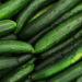 Spain’s Rising Cucumber Imports: A 158.5% Increase and the Dominance of Morocco