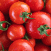Spanish Tomato Exports Soar 18.6%, but Prices Drop by Nearly 24% as Germany Increases Purchases