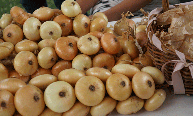 From Farm to Fashion: The Rise of Myachkovsky Onion as a Cultural Icon