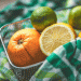 Smaller Fruit Sizes Hamper Spain’s Citrus Market in 2024