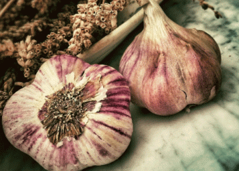 Challenges in Garlic Production: Andalucía Faces 23% Decline in Cultivated Area