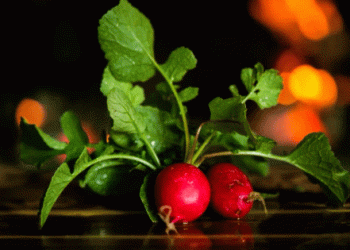 Radish Greens: New EU Classification and Its Impact on the Market Starting 2025