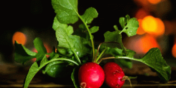 Radish Greens: New EU Classification and Its Impact on the Market Starting 2025