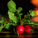 Radish Greens: New EU Classification and Its Impact on the Market Starting 2025