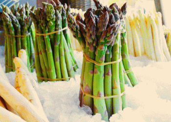 The Netherlands: Europe’s Second-Largest Asparagus Consumer Amid Shifting Market Trends