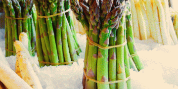 The Netherlands: Europe’s Second-Largest Asparagus Consumer Amid Shifting Market Trends