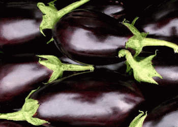 Spanish Eggplants Break Records in the EU Market