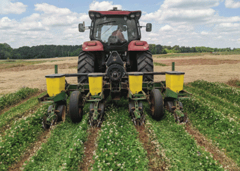 Cover Crops: A Strategic Weapon in the Battle Against Weeds and Herbicide Resistance