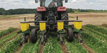 Cover Crops: A Strategic Weapon in the Battle Against Weeds and Herbicide Resistance