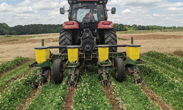 Cover Crops: A Strategic Weapon in the Battle Against Weeds and Herbicide Resistance