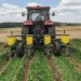 Cover Crops: A Strategic Weapon in the Battle Against Weeds and Herbicide Resistance