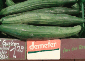 Enhancing Transparency in Food Origin Labels: A Call for Clearer Standards at the 2025 Green Week