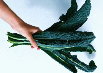 Swiss Farmers Revive Palm Kale: The Superfood with a Rich History and Bright Future