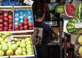 A Record-Breaking Year for Greek Fresh Produce Exports in 2024