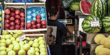 A Record-Breaking Year for Greek Fresh Produce Exports in 2024