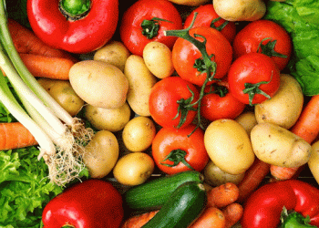 Harvest Success: Over 50,000 Tons of Open-Field Vegetables Gathered in Belgorod Region