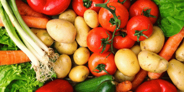 Harvest Success: Over 50,000 Tons of Open-Field Vegetables Gathered in Belgorod Region