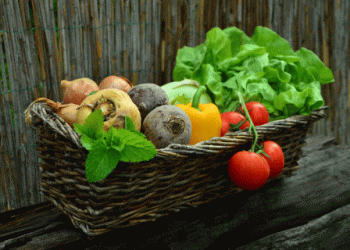French Organic Retail Sector Set for Continued Growth in 2024 Despite Challenges